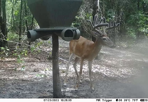 Deer Pfeife Gerät Auto Tier Warnung Pfeifen Für Buick LaCrosse
