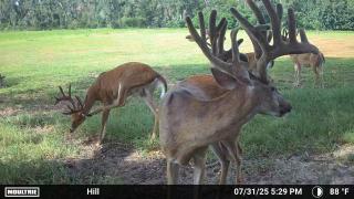 Legacy-Ranch-Jennings-Florida-1