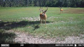 Legacy-Ranch-Jennings-Florida-2