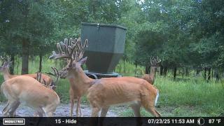 MOULTRIE DIGITAL CAMERA