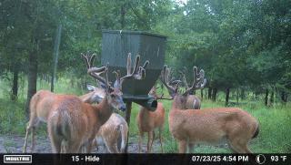 MOULTRIE DIGITAL CAMERA