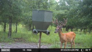 MOULTRIE DIGITAL CAMERA