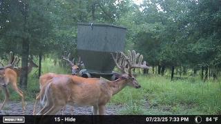 MOULTRIE DIGITAL CAMERA
