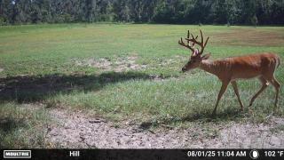 Legacy-Ranch-Jennings-Florida-3