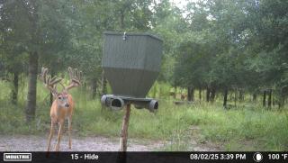MOULTRIE DIGITAL CAMERA