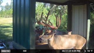 Legacy-Ranch-Jennings-Florida-Whitetail-Deer-Hunting