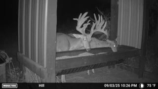 Legacy-Ranch-Jennings-Florida-white-tail-deer-hunting1