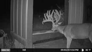 Legacy-Ranch-Jennings-Florida-white-tail-deer-hunting2