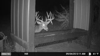 Legacy-Ranch-Jennings-Florida-white-tail-deer-hunting3