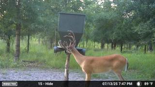MOULTRIE DIGITAL CAMERA