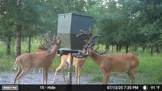 MOULTRIE DIGITAL CAMERA