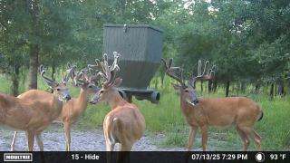 MOULTRIE DIGITAL CAMERA