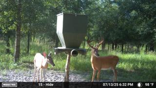MOULTRIE DIGITAL CAMERA