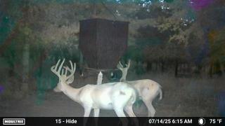 MOULTRIE DIGITAL CAMERA