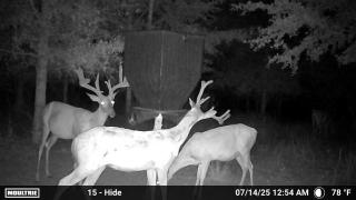 MOULTRIE DIGITAL CAMERA