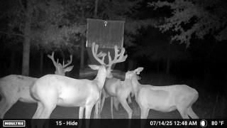 MOULTRIE DIGITAL CAMERA