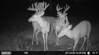 Legacy-Ranch-Trail-cam-photos-hunting-season-1