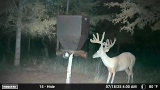 MOULTRIE DIGITAL CAMERA
