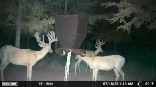 MOULTRIE DIGITAL CAMERA