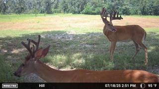 Legacy-Ranch-Trail-cam-photos-hunting-season-4