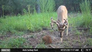 Legacy-Ranch-Trail-cam-photos-hunting-season-5
