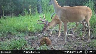 Legacy-Ranch-Trail-cam-photos-hunting-season-6