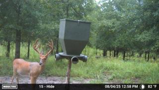 MOULTRIE DIGITAL CAMERA