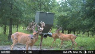 MOULTRIE DIGITAL CAMERA