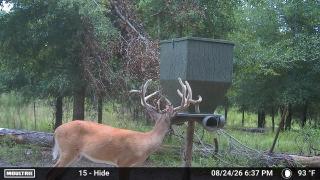 MOULTRIE DIGITAL CAMERA