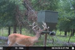MOULTRIE DIGITAL CAMERA