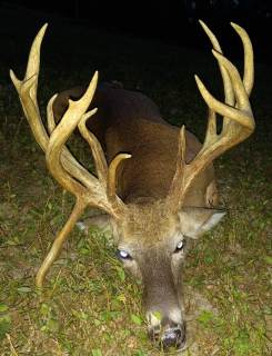 Legacy-Ranch-Hunting_Jennings-FL-Trophy-Hunts-Hunting-Bucks-5