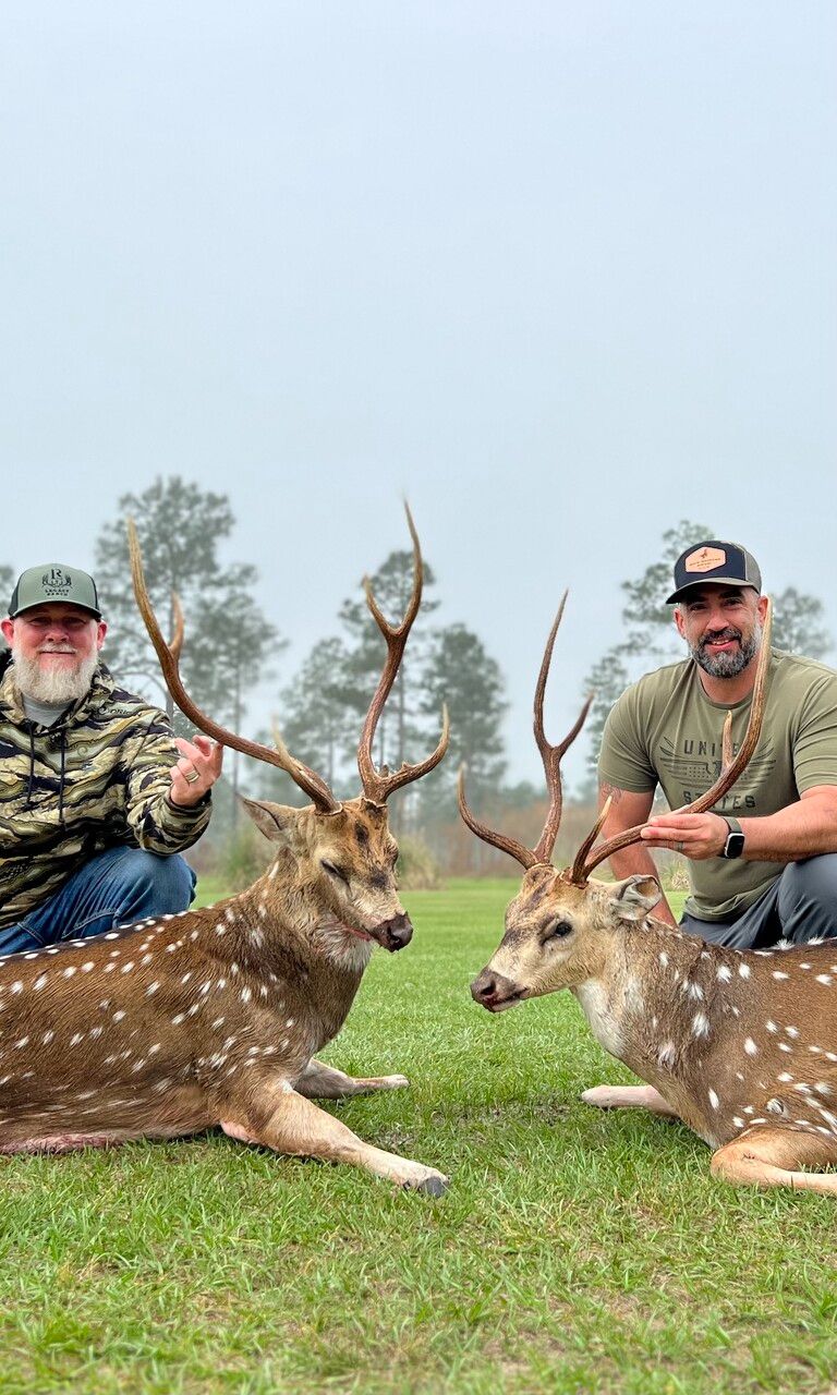 Axis Deer Hunting at Legacy Ranch, Florida | Premier Guided Hunts & Lodging