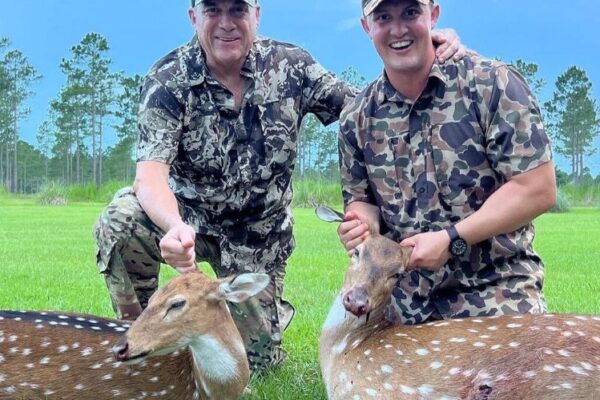 large-Axis Deer 2
