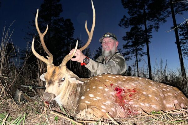 large-Axis Deer 3