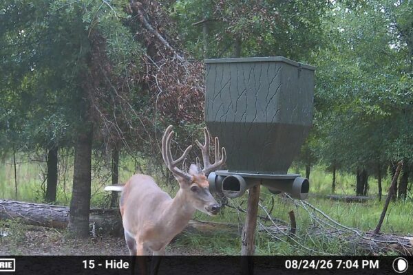 MOULTRIE DIGITAL CAMERA