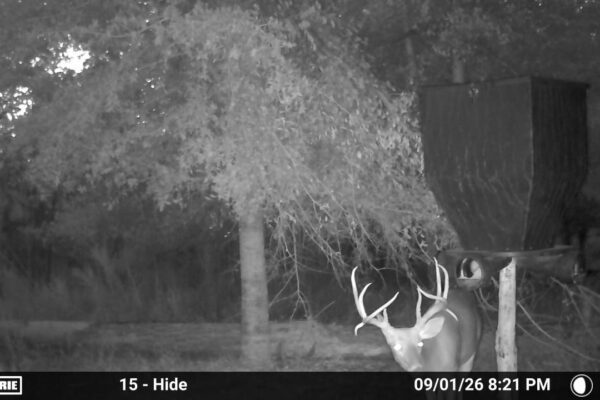 MOULTRIE DIGITAL CAMERA